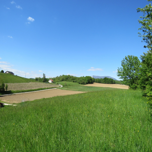 Offres de vente Terrain Belley 01300